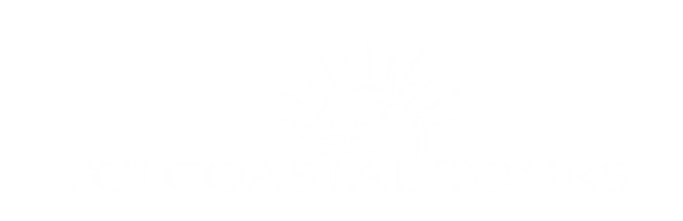 Primary Logo_white.png