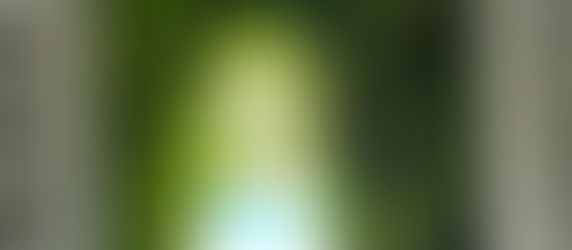 What is Biophilic Design ?
