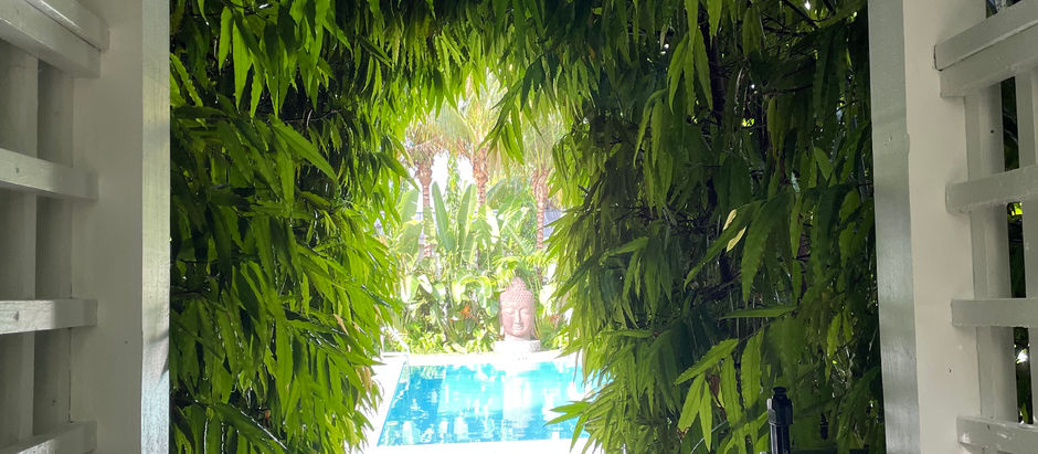 What is Biophilic Design ?