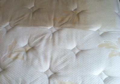Heat Extraction Mattress Cleaning Company
