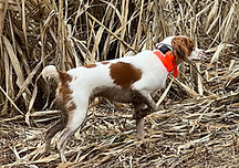 IMG_5932.jpg