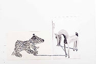 Animaling (again, fifteenth time).jpg