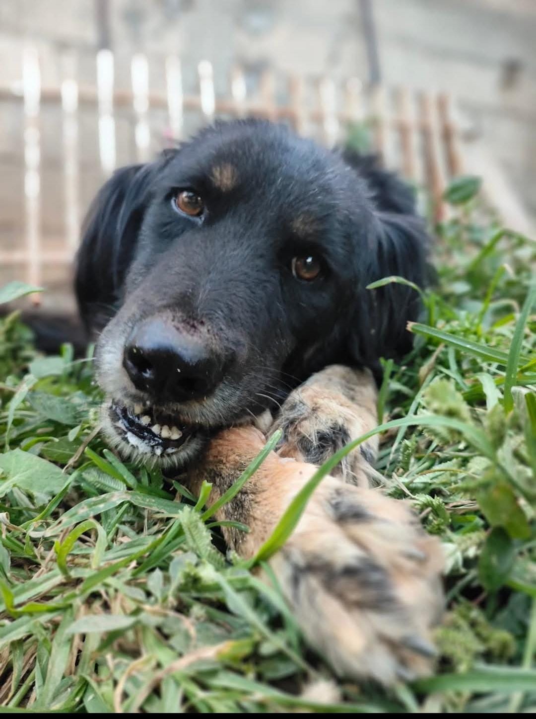 Imagen de WhatsApp 2025-08-10 a las 11.42.39_c15215a8.jpg