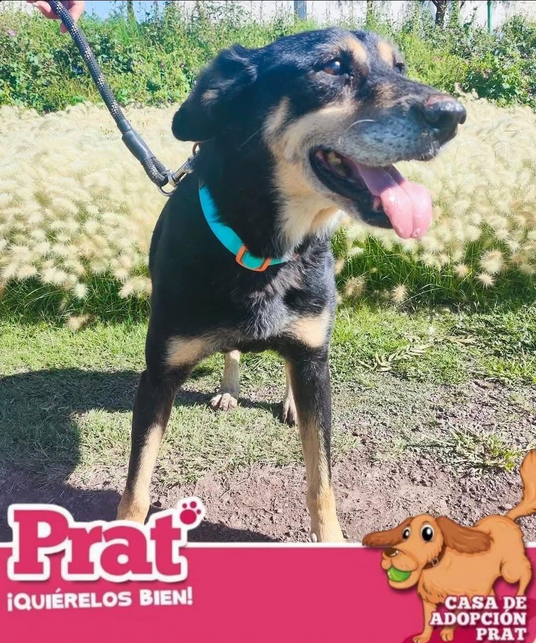 Imagen de WhatsApp 2025-08-10 a las 11.42.40_4ffc8cdc.jpg