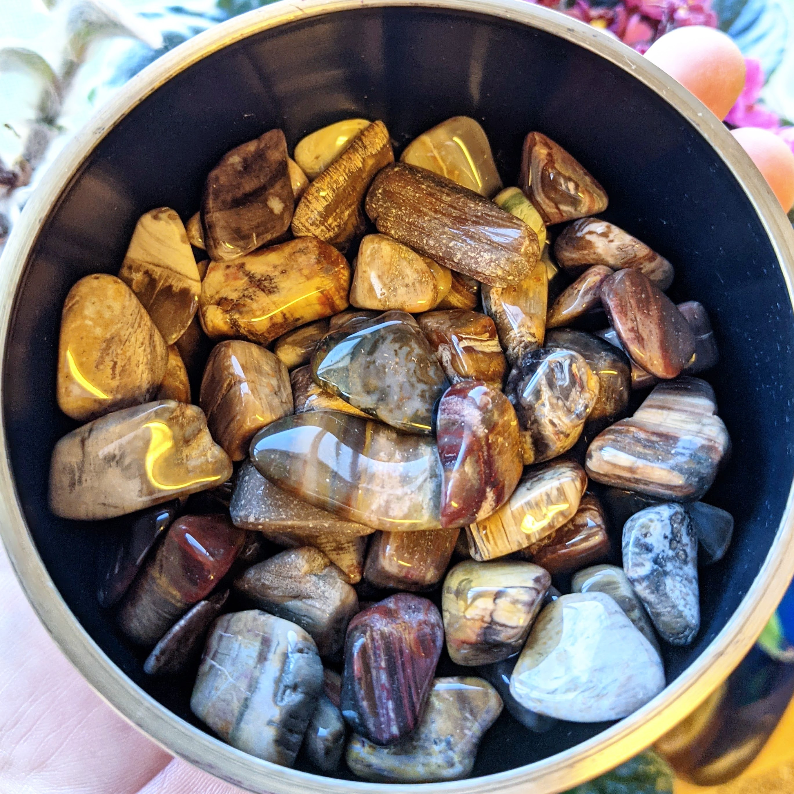 Petrified Wood