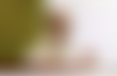 ONGs faturaram mais de R$315 milhões, só este ano, no ministério de Marina