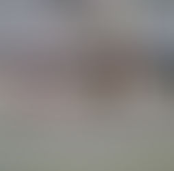 Invitan a tijuanenses a disfrutar de pista de hielo gratuita en Parque Morelos