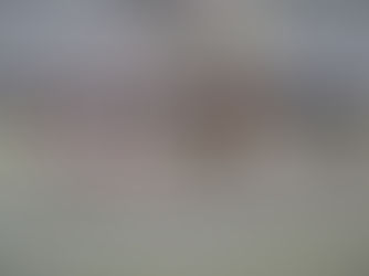 Invitan a tijuanenses a disfrutar de pista de hielo gratuita en Parque Morelos