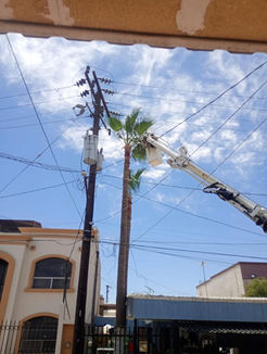 Atribuye CFE a incidente con palmera corte de luz durante conferencia de Marina