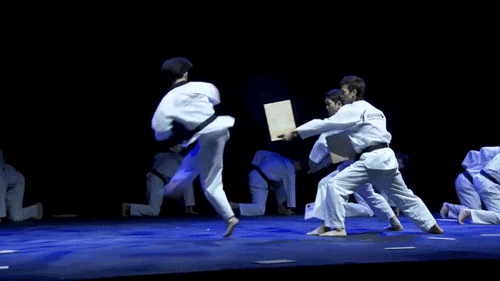 dia 4 int del taekwondo.gif