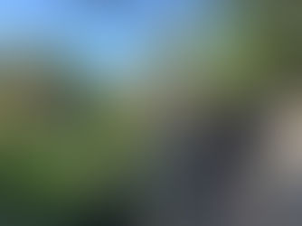 Suman más de 500 asistentes a  talleres de huertos y jardines polinizadores