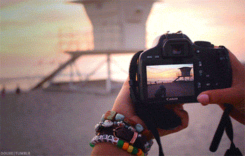 dia 19 mun de la fotografia.gif