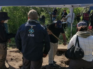 Sheinbaum anuncia decreto para fortalecer la CNB y paquete de reformas contra la desaparición 