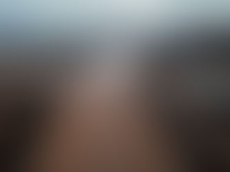 Retiran más de 110 toneladas de desechos en macrojornada de limpieza en la Vía Rápida Alamar