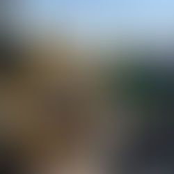 Retiran mil 160 toneladas de basura en Macrojornada de Limpieza en La Presa ALR y La Presa Este