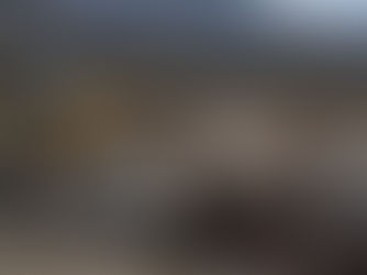 Retiran más de 40 tons. de basura en acciones de 'Tijuana: Ciudad limpia'; benefician a más de 7 mil vecinos