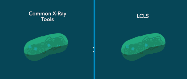 24 mundial de la tuberculosis.gif