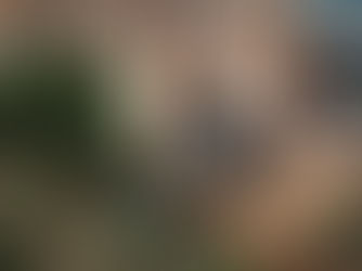 Vecinos y Municipio plantan casi 200 árboles durante jornada 'Respiremos verde' en Tijuana Progreso