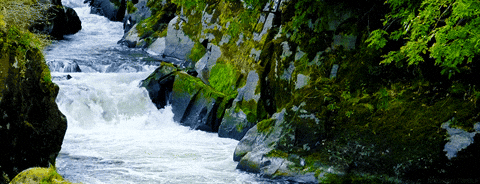 dia 27 int de los rios.gif