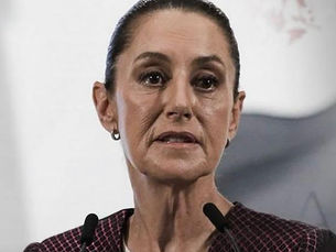 Bozal