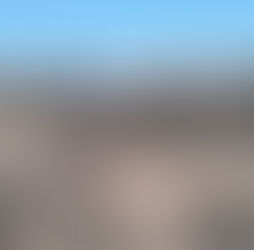 Comité contra la Desaparición Forzada de la ONU pide a Asamblea General examinar caso de México