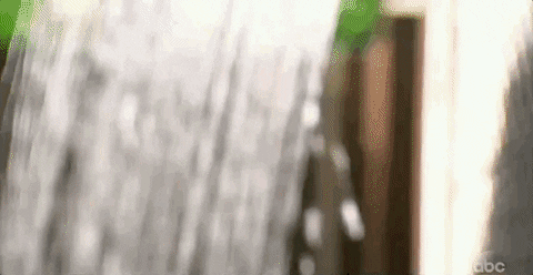dia 3 mund de la higiene.gif
