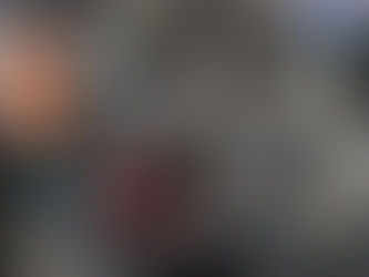 Deportar para gobernar