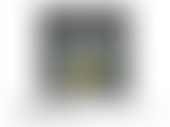 Huracán Delta tocó tierra en Puerto Morelos, Quintana Roo