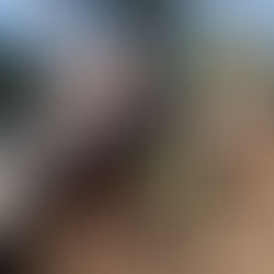 Por Día de la Tierra, plantan 150 árboles nativos en jornada de reforestación y embellecimiento