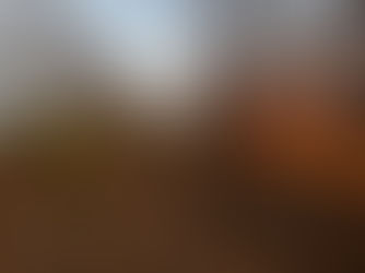 Sin riesgo para la población, 114 incendios forestales activos en 23 estados: Protección Civil