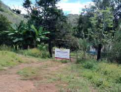Gobierno federal investiga presunto campo de exterminio en Nayarit y reclutamiento en Ucrania de mexicanos ligados al narco