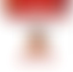 Cae en Nayarit 'El Jardinero', mando del CJNG, por quien EU ofrecía recompensa de 5 mdd