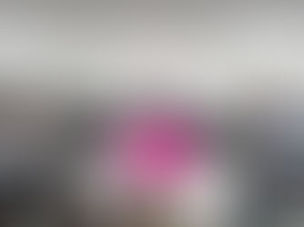 Secretarías de Finanzas, Protección al Ambiente y de la Mujer, entre 5 nuevas dependencias municipales