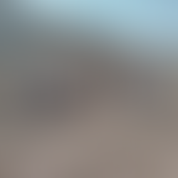 México evalúa informe sobre desapariciones del CED y abordará el tema con la ONU: Sheinbaum