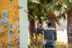 Benefician a más de 8 mil 500 personas con recolección de 52 toneladas de basura y otras acciones de 'Tijuana: Ciudad limpia'