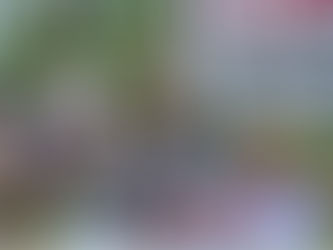 Florida convierte la migración en espectáculo de represión