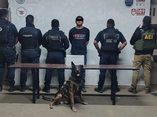 Agente K9 'Kilo' participa en rescate de mujer retenida como rehén por su hijo