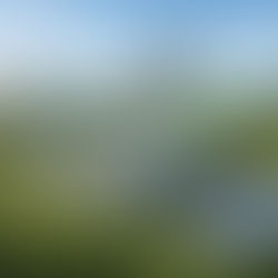 La huella de carbono de la computación en la nube: Hacia data centers más verdes