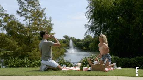 dia 19 mundial del paseo.gif