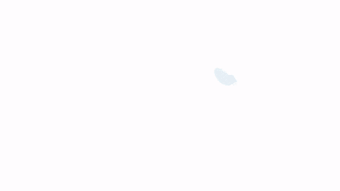 dia 21 int de la paz.gif