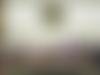 INE declara válida elección de ministros de la SCJN y entrega constancias de mayoría