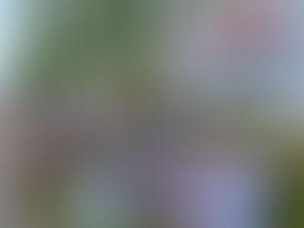 Migrantes entre caimanes, el nuevo muro de Trump