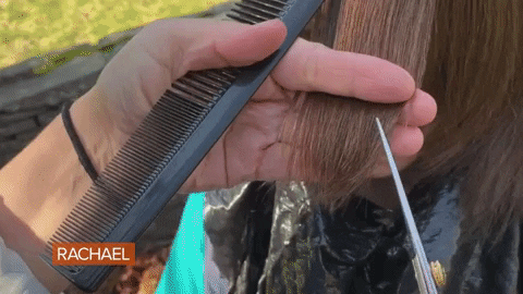 dia 25 int del peluquero.gif