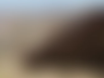 El muro negro de Trump, metáfora del fracaso moral de una nación