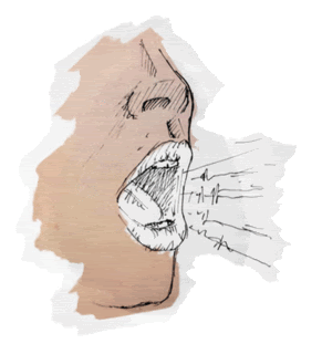 dia 16 mund de la voz.gif