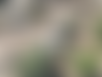 Congreso pide a CEDHBC informar sobre cumplimiento a recomendación por desaparición de personas