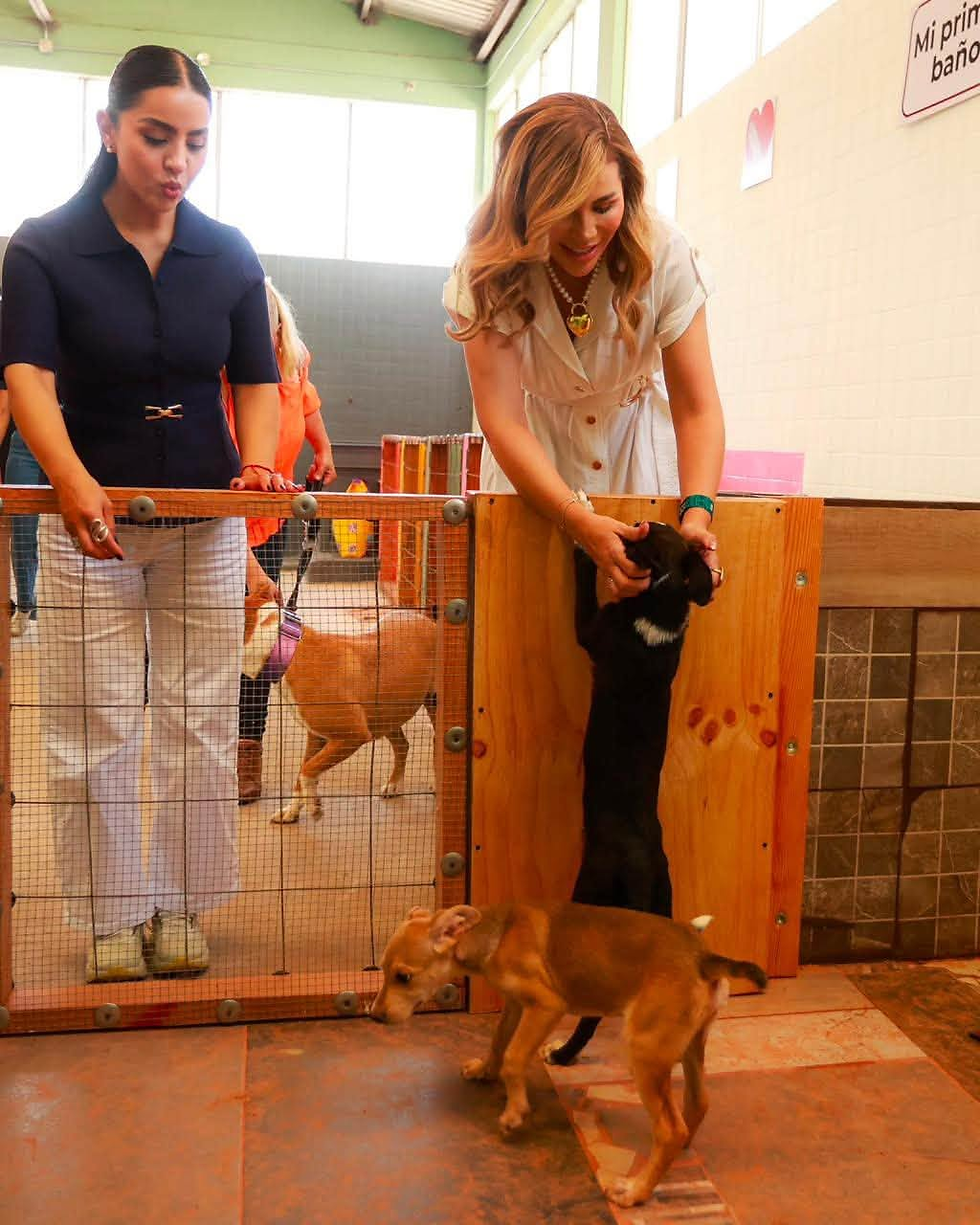 Abre en Tecate Centro de Bienestar Animal para promover refugio, cuidados y adopción responsable