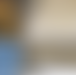 CBP asegura media tonelada de cocaína en frontera de Calexico