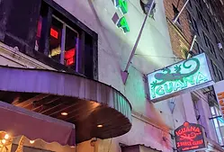 Iguana-Dance-Club-credit-Eden-Janine-and-Jim_CC-by-2.0-via-Flickr-WEB.webp