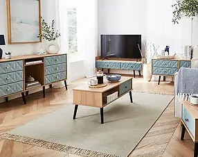 modern and stylish living room
